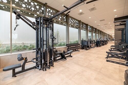 Ons goed uitgerusste en veel gebruikte gym!